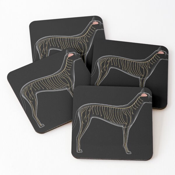 Item preview, STK701258H-Nervous system of a dog, x-ray view. designed and sold by StocktrekImages.