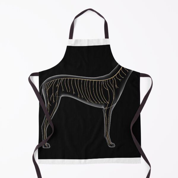 Item preview, STK701258H-Nervous system of a dog, x-ray view. designed and sold by StocktrekImages.