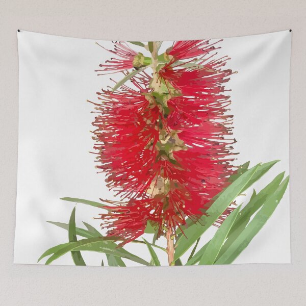 Item preview, Banksia Flower designed and sold by Racheltmason.