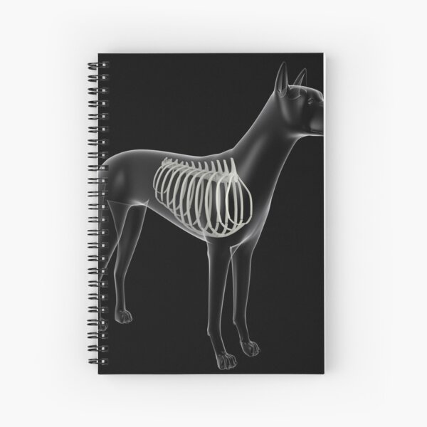 Item preview, STK701260H-Rib cage in a dog, x-ray view. designed and sold by StocktrekImages.