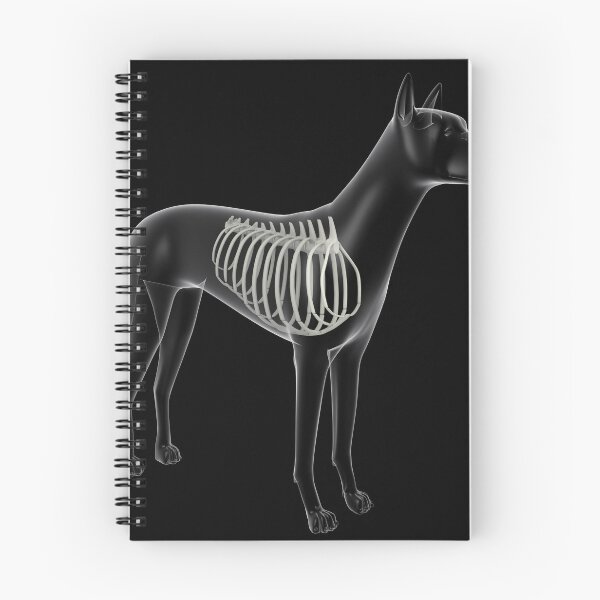 Item preview, STK701260H-Rib cage in a dog, x-ray view. designed and sold by StocktrekImages.