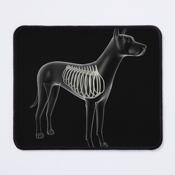 Item preview, STK701260H-Rib cage in a dog, x-ray view. designed and sold by StocktrekImages.