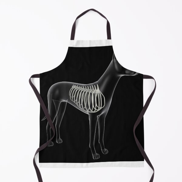 Item preview, STK701260H-Rib cage in a dog, x-ray view. designed and sold by StocktrekImages.