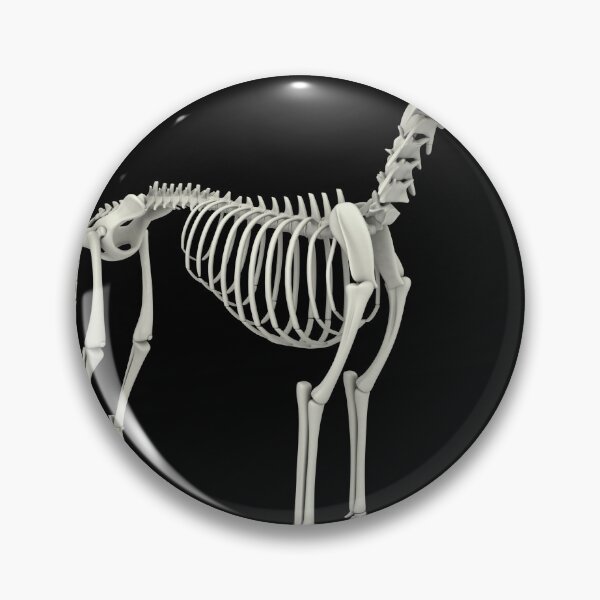 Item preview, STK701262H-Skeletal system of a dog, side view. designed and sold by StocktrekImages.