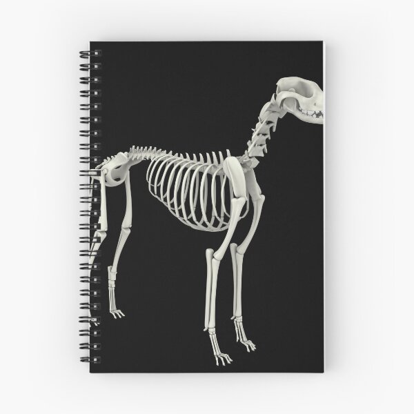 Item preview, STK701262H-Skeletal system of a dog, side view. designed and sold by StocktrekImages.