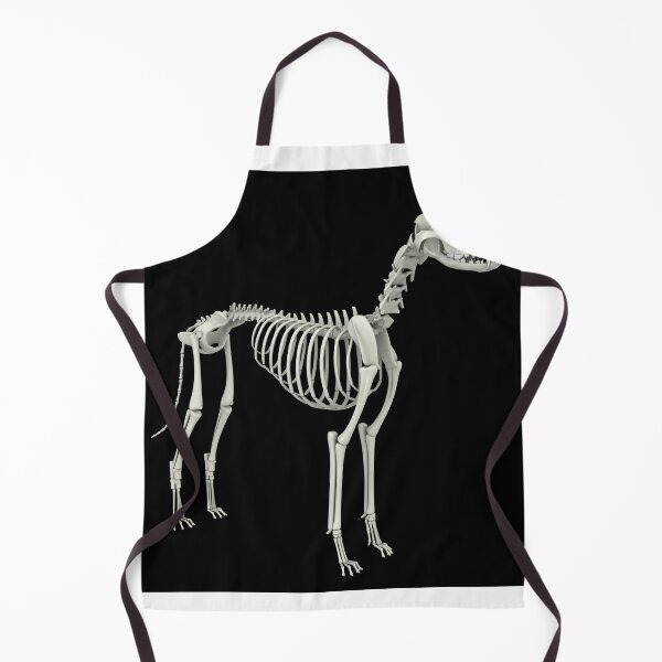 Item preview, STK701262H-Skeletal system of a dog, side view. designed and sold by StocktrekImages.