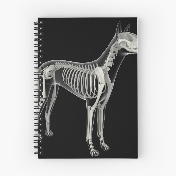 Item preview, STK701263H-Skeletal system of a dog, x-ray view. designed and sold by StocktrekImages.