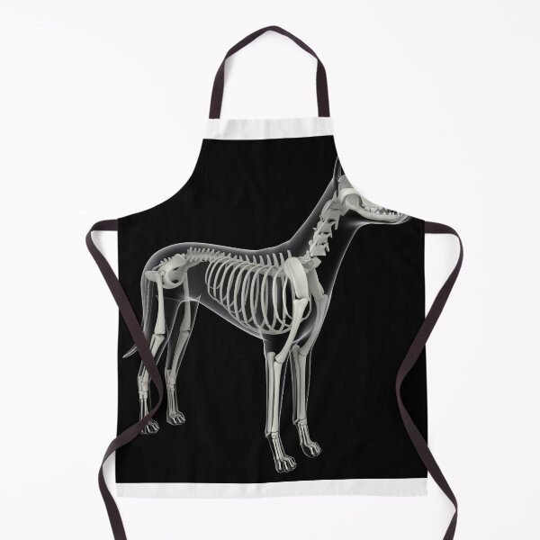 Item preview, STK701263H-Skeletal system of a dog, x-ray view. designed and sold by StocktrekImages.