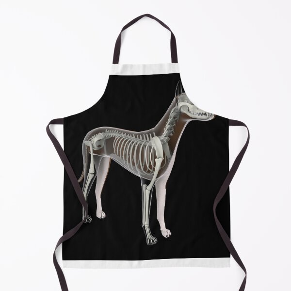 Item preview, STK701264H-Skeletal system of a dog. designed and sold by StocktrekImages.