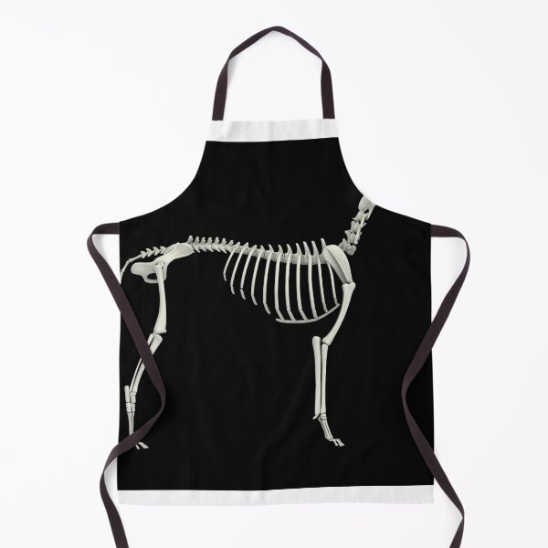Item preview, STK701265H-Skeletal system of a dog, side view. designed and sold by StocktrekImages.