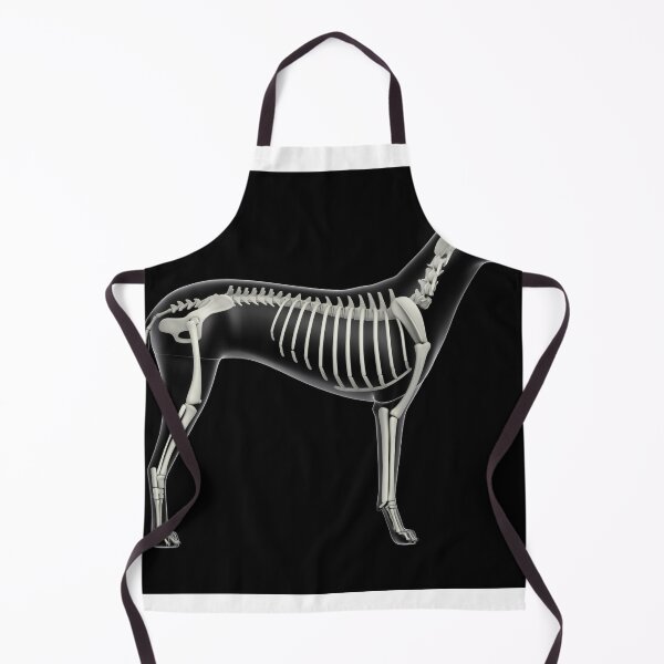 Item preview, STK701266H-Skeletal system of a dog, x-ray side view. designed and sold by StocktrekImages.