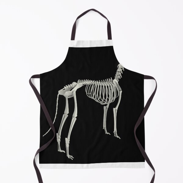 Item preview, STK701267H-Skeletal system of a dog, rear view. designed and sold by StocktrekImages.