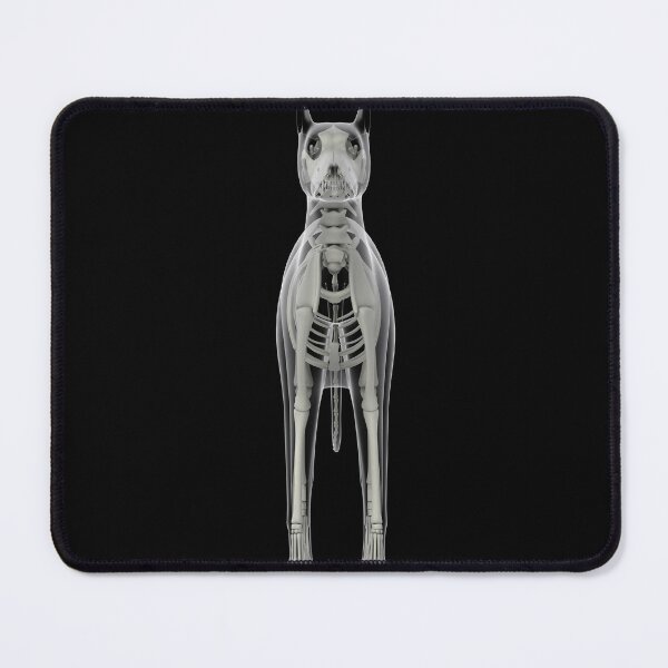 Item preview, STK701268H-Skeletal system of a dog, x-ray front view. designed and sold by StocktrekImages.