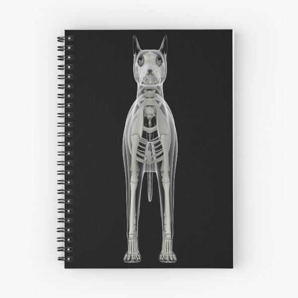 Item preview, STK701268H-Skeletal system of a dog, x-ray front view. designed and sold by StocktrekImages.