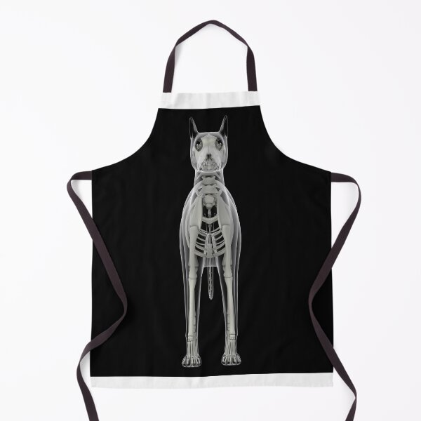 Item preview, STK701268H-Skeletal system of a dog, x-ray front view. designed and sold by StocktrekImages.