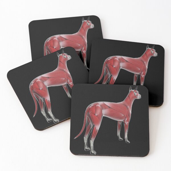 Item preview, STK701254H-Muscular system of a dog, rear view. designed and sold by StocktrekImages.