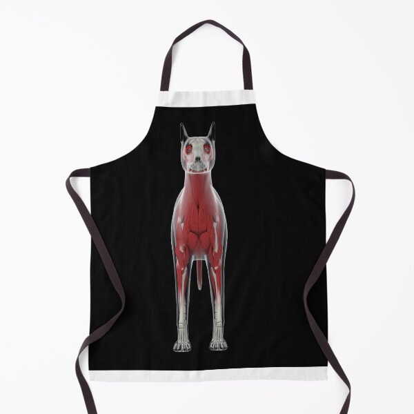 Item preview, STK701254H-Muscular system of a dog, rear view. designed and sold by StocktrekImages.