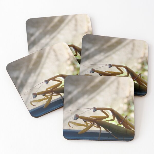 Item preview, Flossy, a praying mantis in the mood for love designed and sold by JonDelorme.