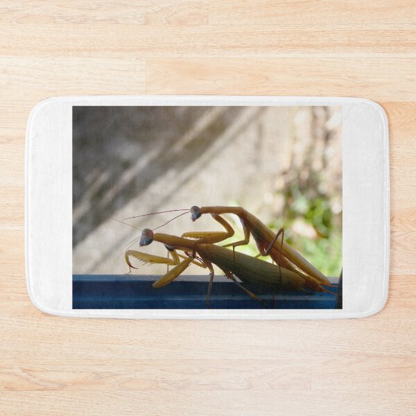 Item preview, Flossy, a praying mantis in the mood for love designed and sold by JonDelorme.