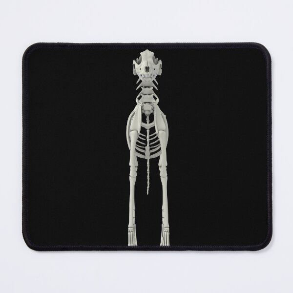 Item preview, STK701269H-Skeletal system of a dog, front view. designed and sold by StocktrekImages.