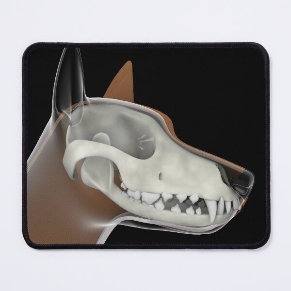 Item preview, STK701273H-Headshot of a dog with skull overlay. designed and sold by StocktrekImages.