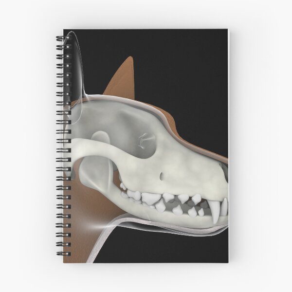 Item preview, STK701273H-Headshot of a dog with skull overlay. designed and sold by StocktrekImages.