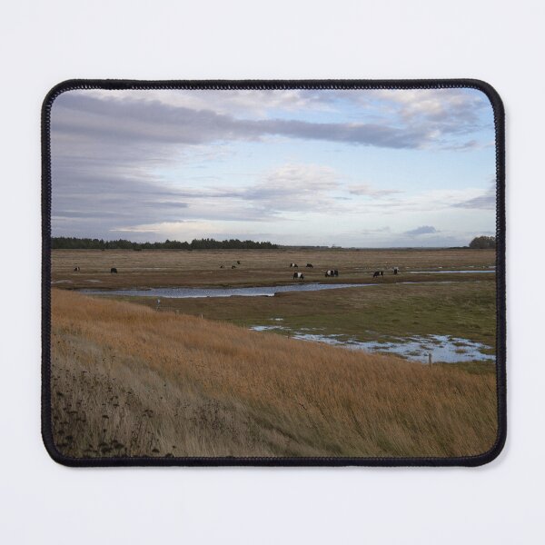 Item preview, Galloway cattle designed and sold by Calidris Fotografie Steffi & Ben Köppler.
