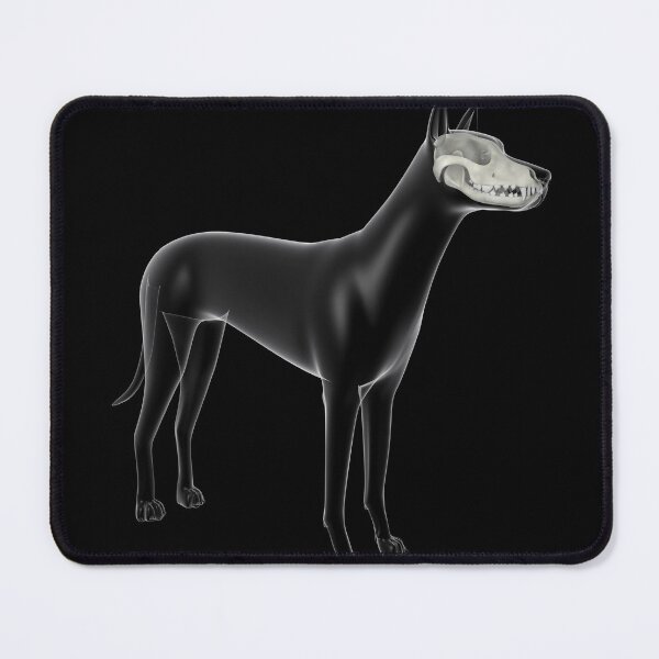 Item preview, STK701274H-Dog skull, x-ray view. designed and sold by StocktrekImages.