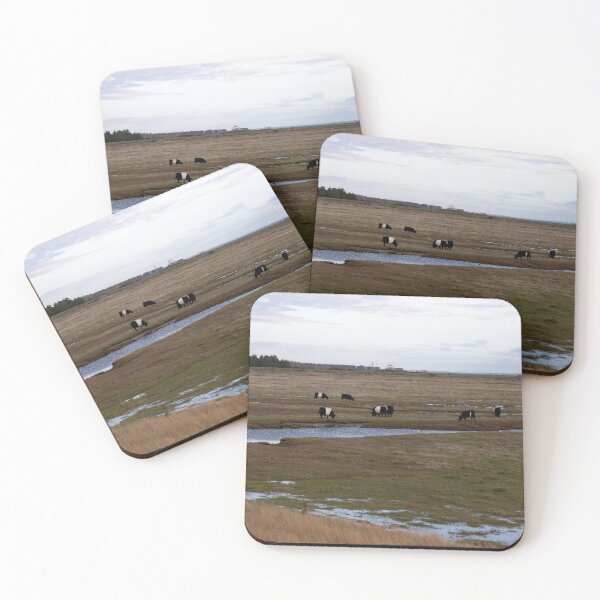 Item preview, Galloway Cattle designed and sold by Calidris Fotografie Steffi & Ben Köppler.