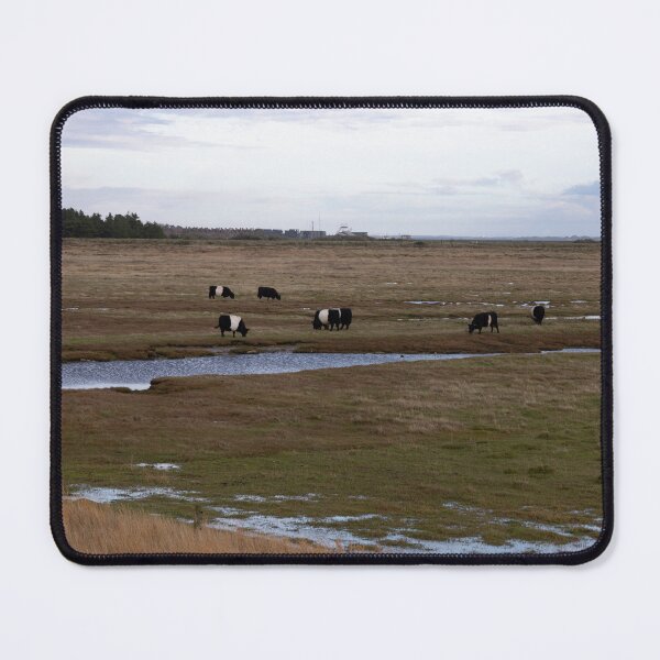 Item preview, Galloway Cattle designed and sold by Calidris Fotografie Steffi & Ben Köppler.