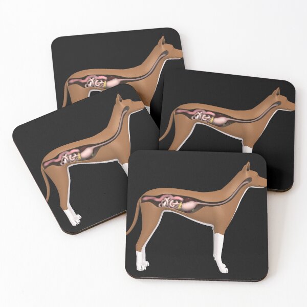 Item preview, STK701279H-Digestive system of a dog, side view. designed and sold by StocktrekImages.