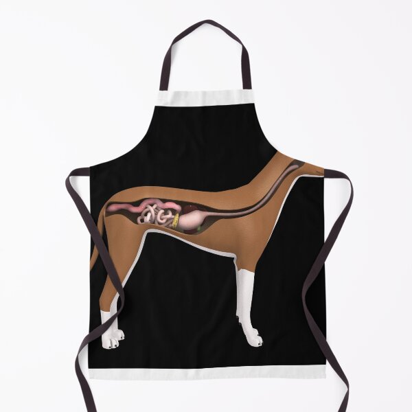 Item preview, STK701279H-Digestive system of a dog, side view. designed and sold by StocktrekImages.