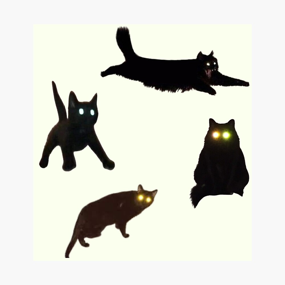 black void cursed cat meme (set 1) pack