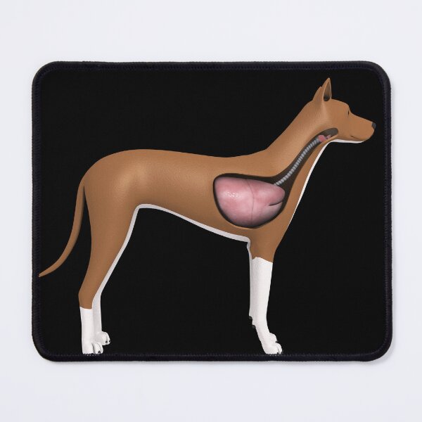 Item preview, STK701281H-Respiratory system of a dog. designed and sold by StocktrekImages.
