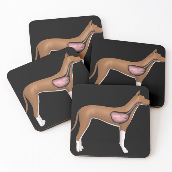 Item preview, STK701281H-Respiratory system of a dog. designed and sold by StocktrekImages.