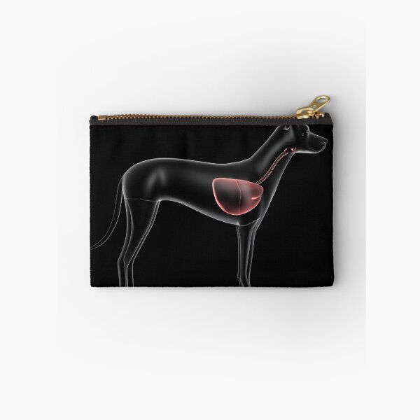 Item preview, STK701282H-Respiratory system of a dog, x-ray view. designed and sold by StocktrekImages.