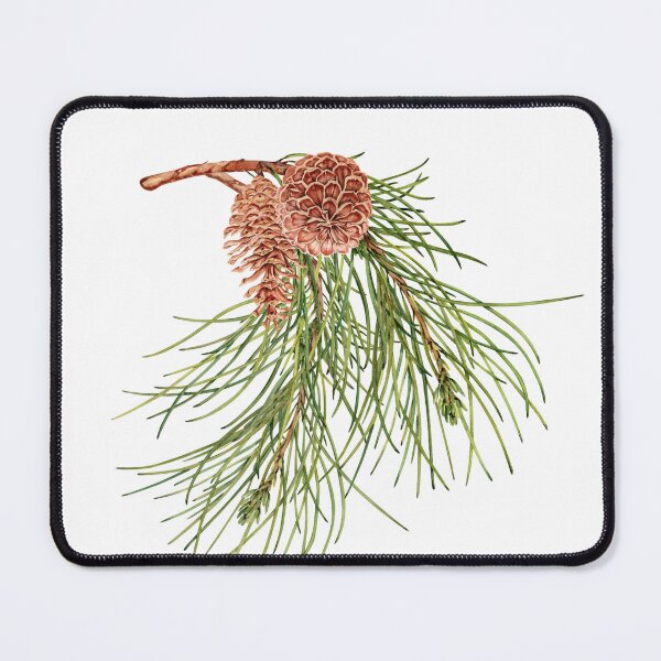 Item preview, Pine Tree Branch with Pinecones Design designed and sold by SvettyArt.