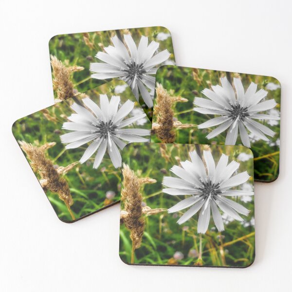 Item preview, Blue Sow-thistle White Blossom designed and sold by Marco Sales.