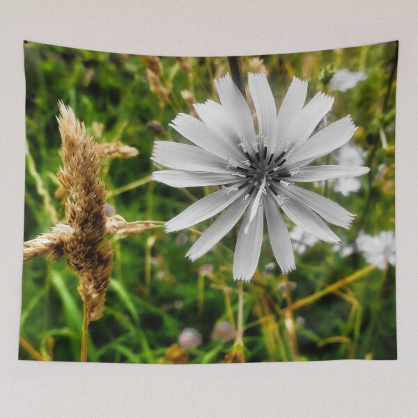 Item preview, Blue Sow-thistle White Blossom designed and sold by Marco Sales.