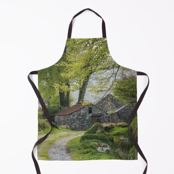 Item preview, Traditional Dartmoor stone cottage designed and sold by JoSowden.