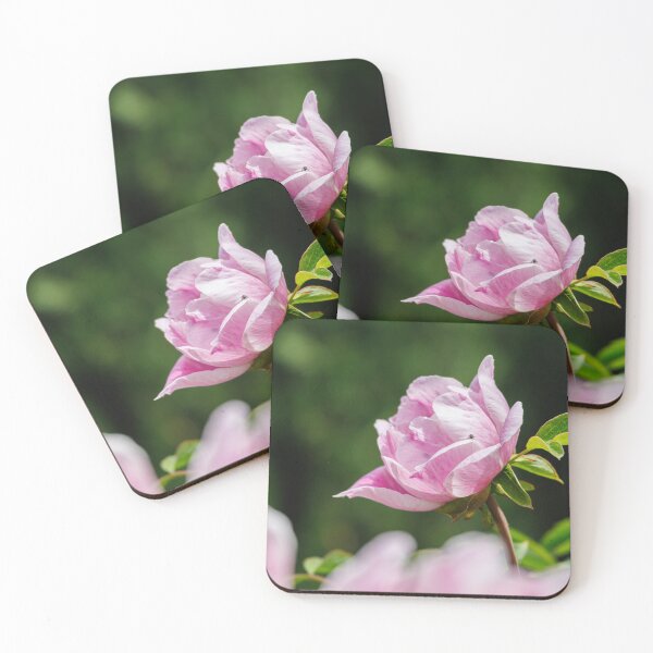 Item preview, Macro photography of a pink peony designed and sold by Giuseppe Cammino.