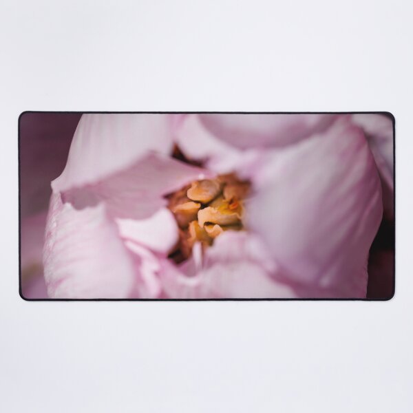 Item preview, Macro photography of a pink peony designed and sold by Giuseppe Cammino.