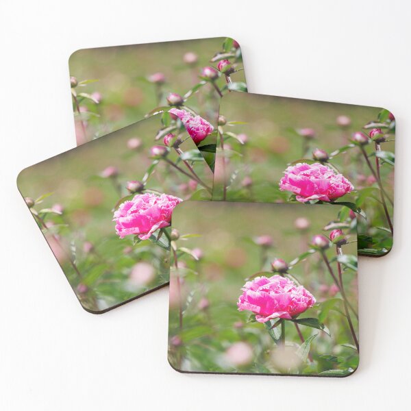Item preview, Macro photography of a pink peony designed and sold by Giuseppe Cammino.