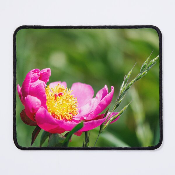 Item preview, Macro photography of a pink peony designed and sold by Giuseppe Cammino.