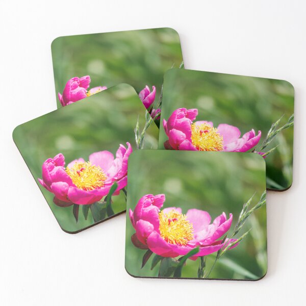 Item preview, Macro photography of a pink peony designed and sold by Giuseppe Cammino.