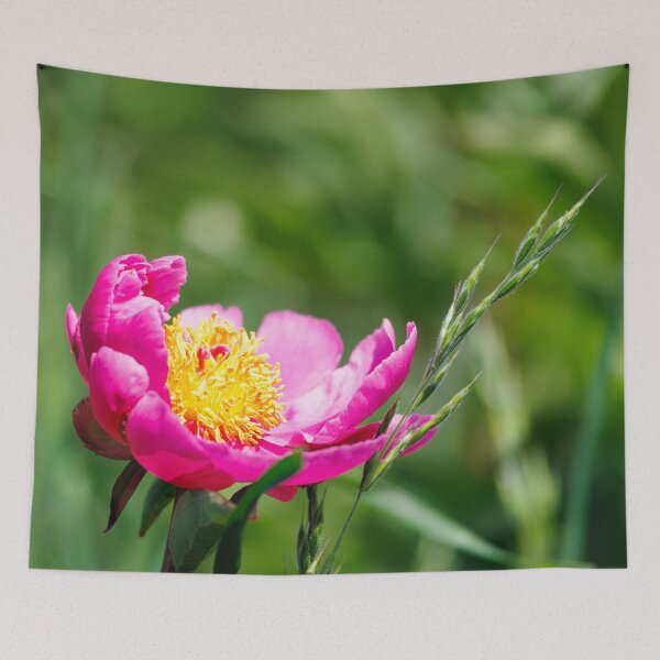 Item preview, Macro photography of a pink peony designed and sold by Giuseppe Cammino.
