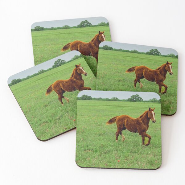 Item preview, Caballo joven corriendo designed and sold by noblephoto.