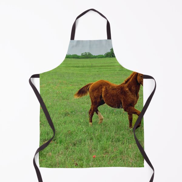 Item preview, Young horse running designed and sold by noblephoto.