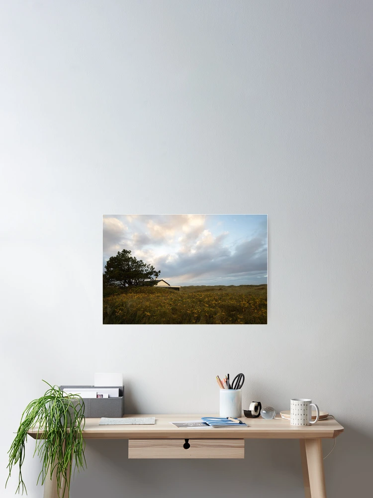 Thumbnail 2 of 3, Poster, Wild Roses designed and sold by Calidris Fotografie Steffi & Ben Köppler.