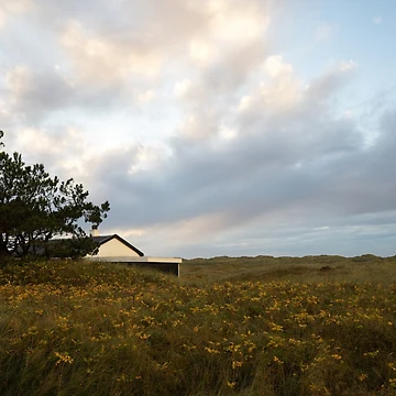 Artwork thumbnail, Wild Roses by Calidris Fotografie Steffi & Ben Köppler